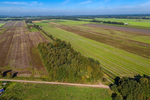 iQ Makelaars Vriescheloo, 2E Dalweg